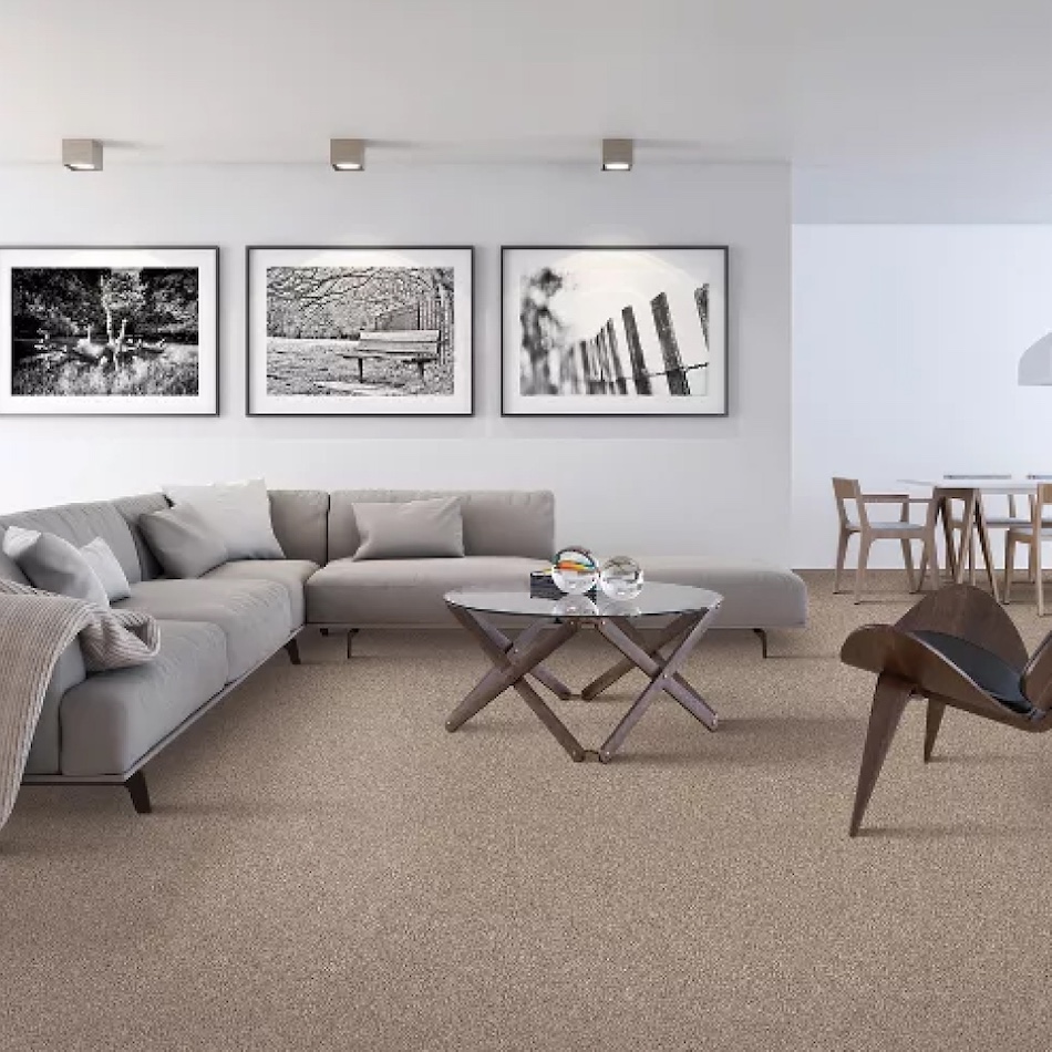 Nonn's - Wisconsin - Mohawk Carpeting