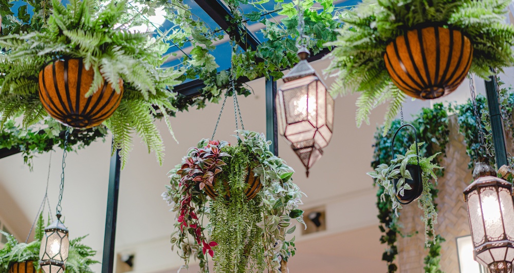 Give Your Ceiling the Star Treatment