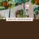 Nonn's Insiders List - Ceiling Decor
