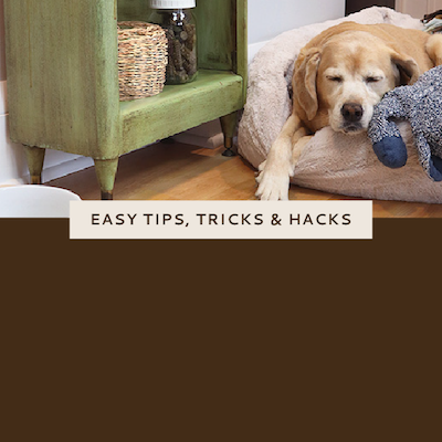 Nonn's Insiders List - Pet Hacks