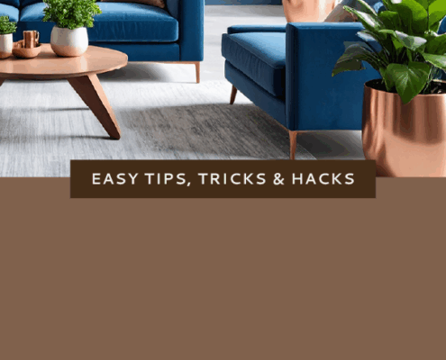 Nonn's Insiders List | Harmonized Planters in Madison, WI | Featured Photo