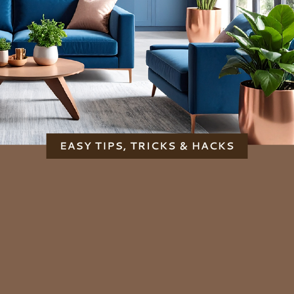 Nonn's Insiders List | Harmonized Planters in Madison, WI | Featured Photo