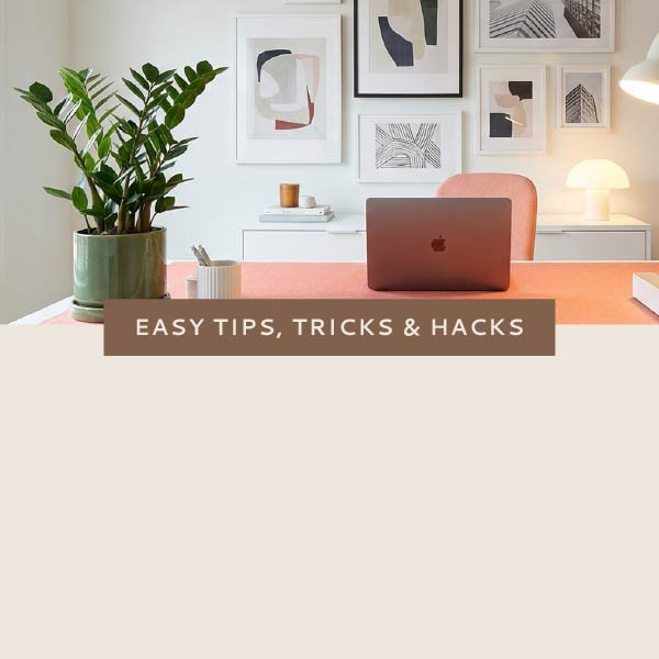 Nonn's Insiders List | Revitalized Home Office | Featured Photo