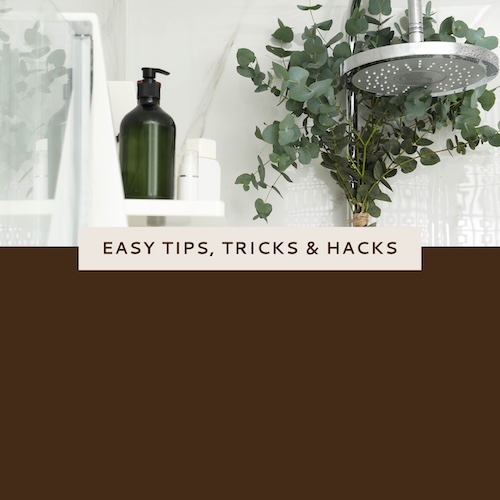 Nonn's Insiders List | Featured Photo | 040526