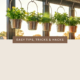 Nonn's Insiders List | Freshly Displayed Herbs | Featured Image